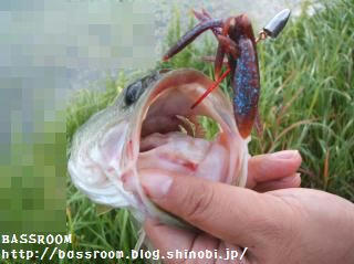 DSCF3688.jpg