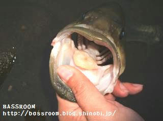 DSCF3692.jpg