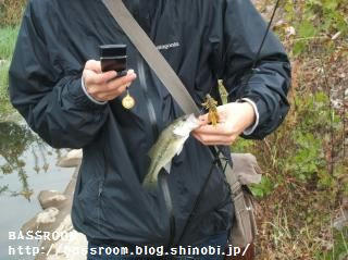 DSCF3693.jpg