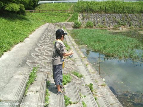 息子の勇姿