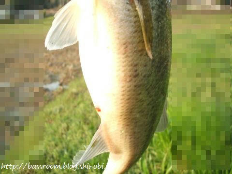 BASSROOM行動記録