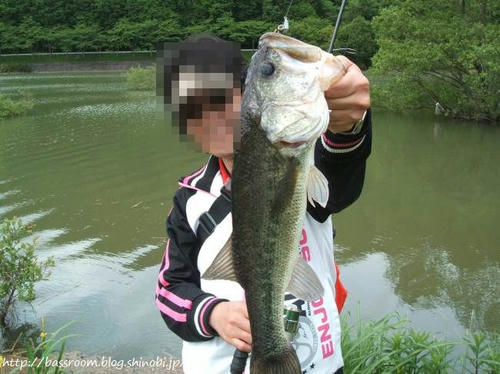 BASSROOM行動記録
