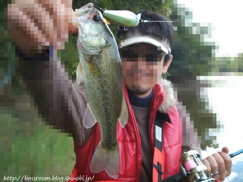BASSROOM行動記録