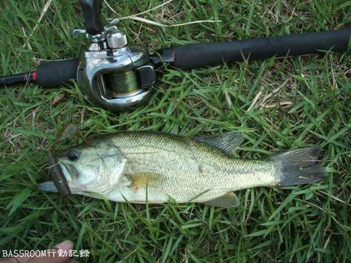 BASSROOM行動記録