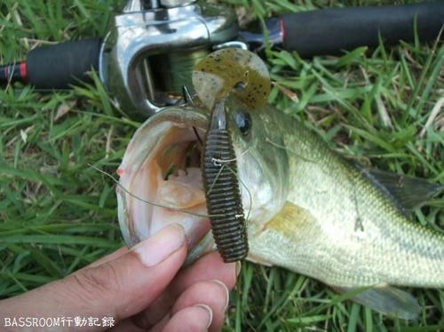 BASSROOM行動記録