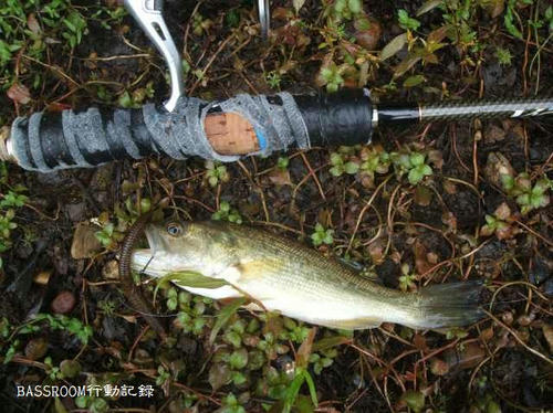 BASSROOM行動記録