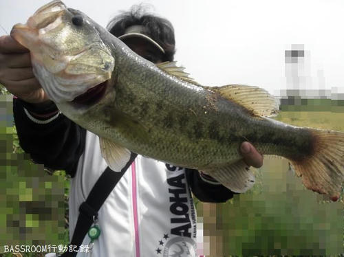 BASSROOM行動記録