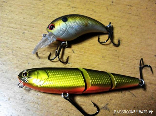 BASSROOM行動記録