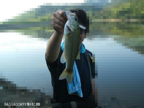 BASSROOM行動記録