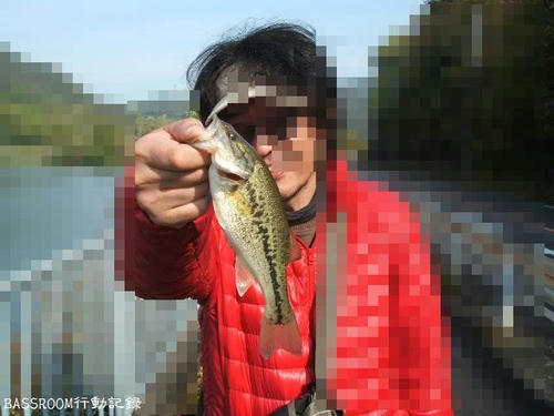 BASSROOM行動記録
