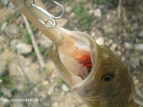 BASSROOM行動記録