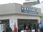 2007年、夙川でお花見