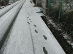 雪＆かに鍋＆ビリヤード
