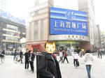 2008年の中国上海ビリヤード