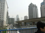 2008年の中国上海ビリヤード