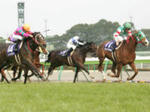 高松宮記念２００６年オレハマッテルゼ