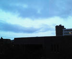 NEC_0035.jpg