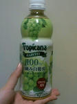 Ｔｏｒｏｐｉｃａｎａ　Ｈａｒｖｅｓｔ　写真画像