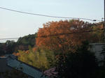 2007_12020017_640.JPG