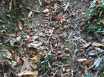 2007_12020027_640.JPG