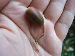 2007_12020028_640.JPG