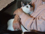 2007_12090025_640.JPG