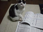 2007_12150030_640.JPG