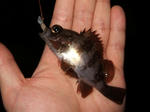 2007_12290043_640.JPG
