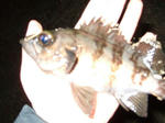 2008_01060033_640.JPG