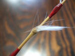 2008_01060023_640.JPG