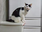 2008_01140024_640.JPG