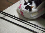2008_01200002_640.JPG