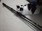 2008_02020001_640.JPG