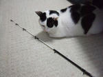 2008_02020002_640.JPG
