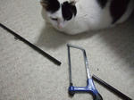 2008_02020036_640.JPG