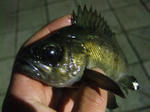 2008_03010032_640.JPG