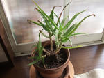 2008_03010021_640.JPG