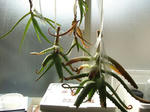 2008_03010022_640.JPG