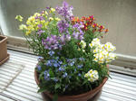 2008_03020040_640.JPG