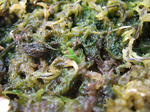 2008_04200017_640.JPG