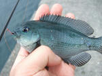 2008_05050002_640.JPG