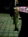 2008_05050078-2_640.jpg