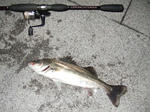 2008_05050095_640.JPG