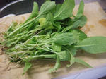 2008_05180010_640.JPG