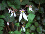2008_06010029_640.JPG