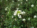 2008_06010021_640.JPG
