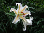 2008_06210021_640.JPG