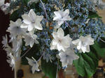 2008_06210046_640.JPG