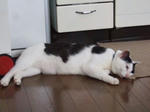 2008_07130002_640.JPG