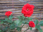 2008_07130004_640.JPG